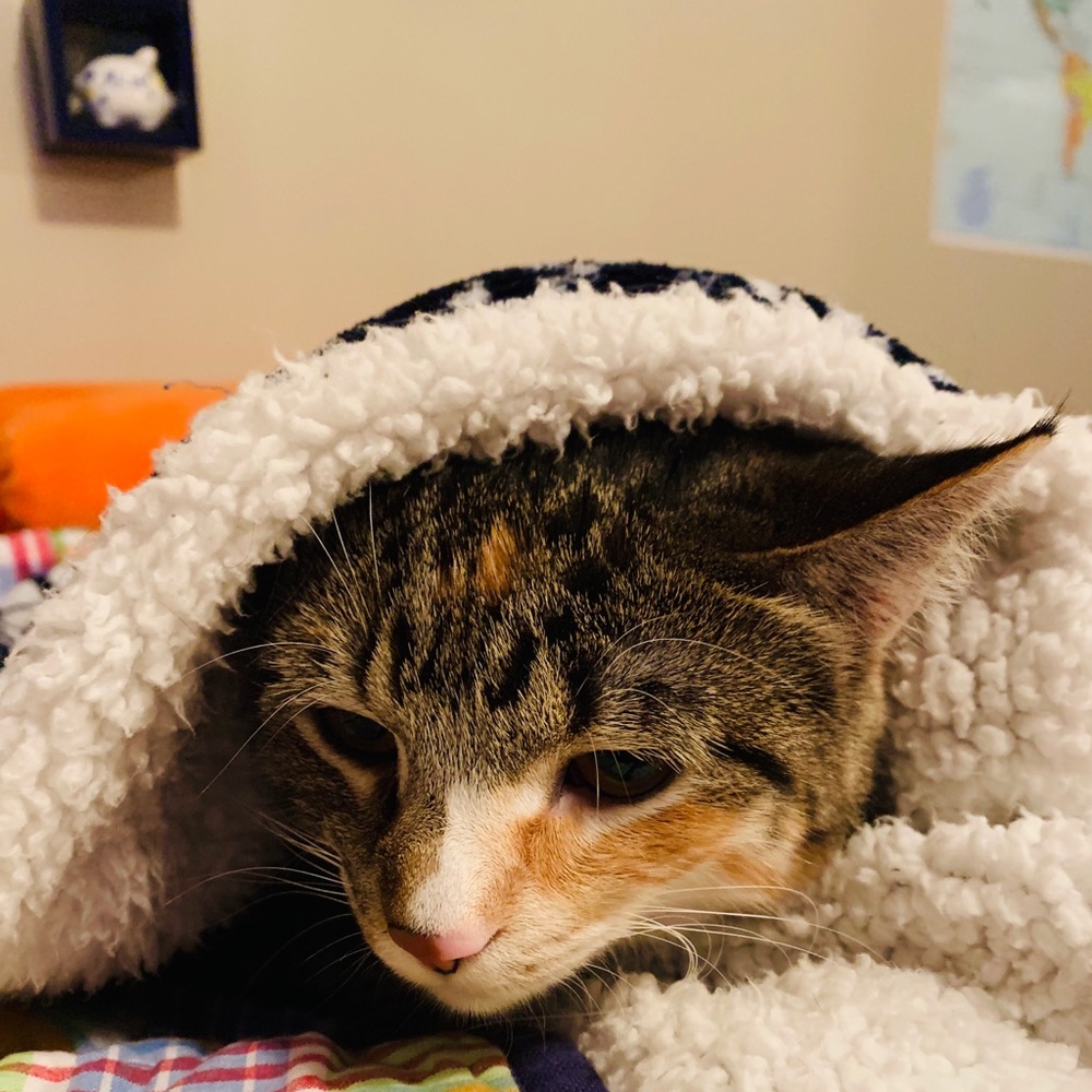 Meet your Posher, Rebecca